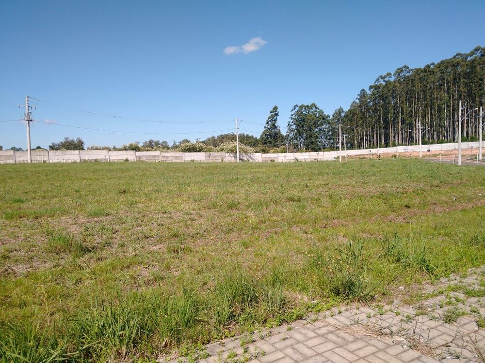Terreno, 306 m² - Foto 3