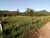 Loteamento e Condomínio, 1 hectares - Foto 1