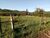 Loteamento e Condomínio, 1 hectares - Foto 2