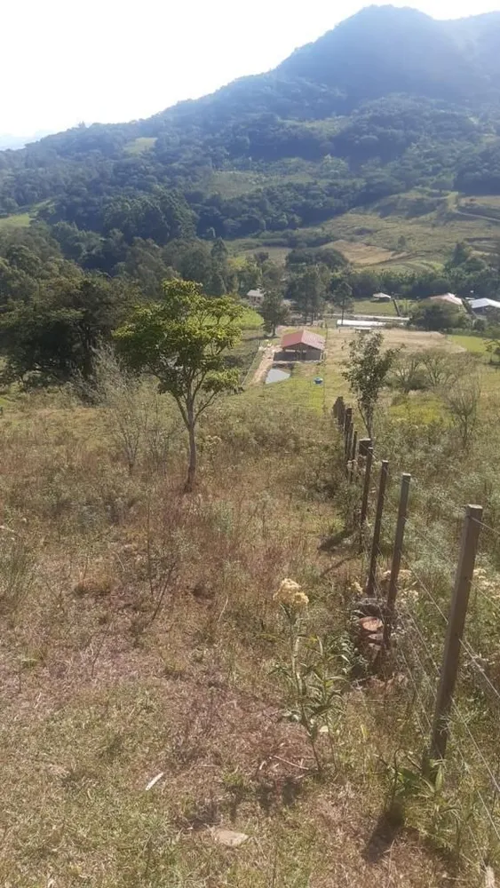 Terreno, 36100 hectares - Foto 7