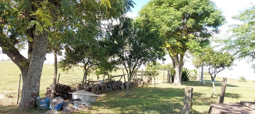 Chácara, 2 quartos, 2 hectares - Foto 4