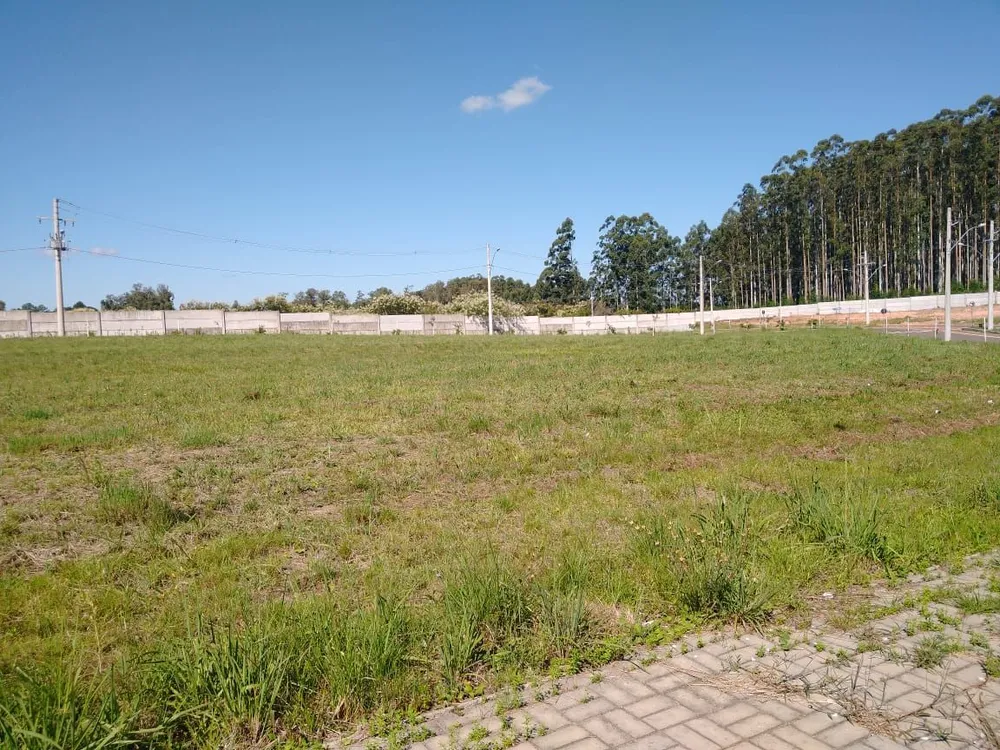Terreno, 306 m² - Foto 7