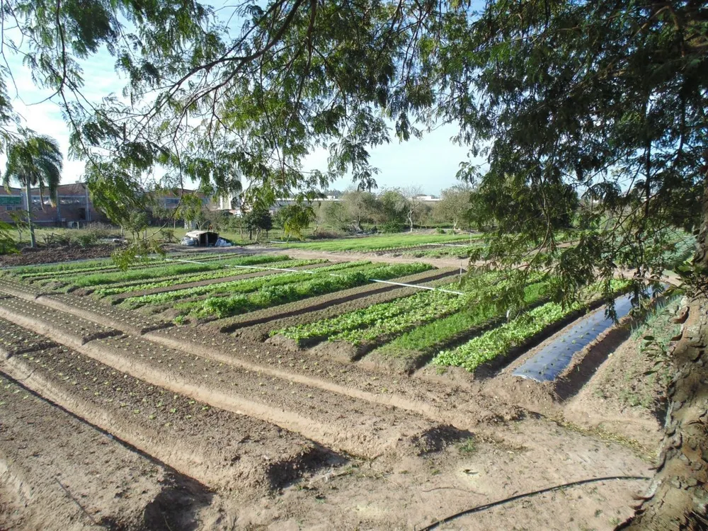 Terreno, 1 hectares - Foto 3
