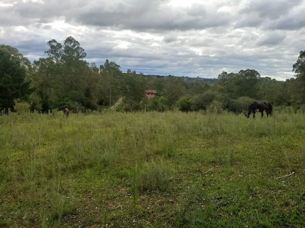 Terreno, 5000 m² - Foto 4