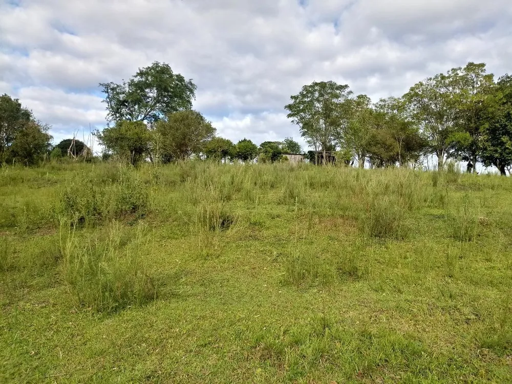Terreno, 5000 m² - Foto 5