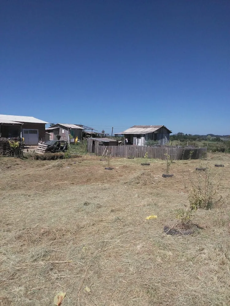 Chácara, 3 quartos, 6300 hectares - Foto 7