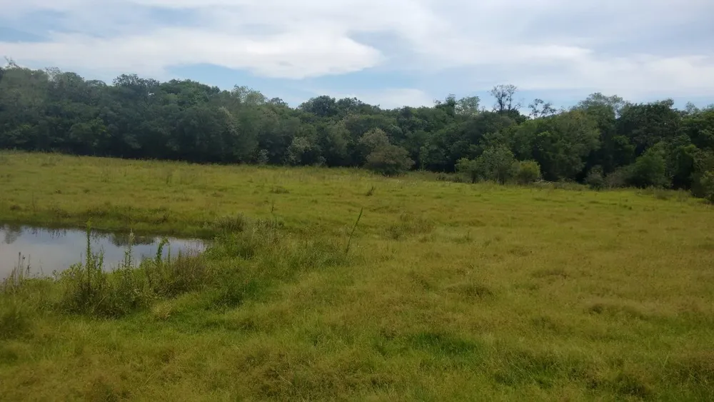 Chácara, 4 quartos, 3 hectares - Foto 8