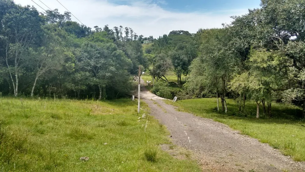 Chácara, 4 quartos, 3 hectares - Foto 1