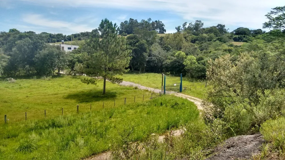Chácara, 4 quartos, 3 hectares - Foto 11