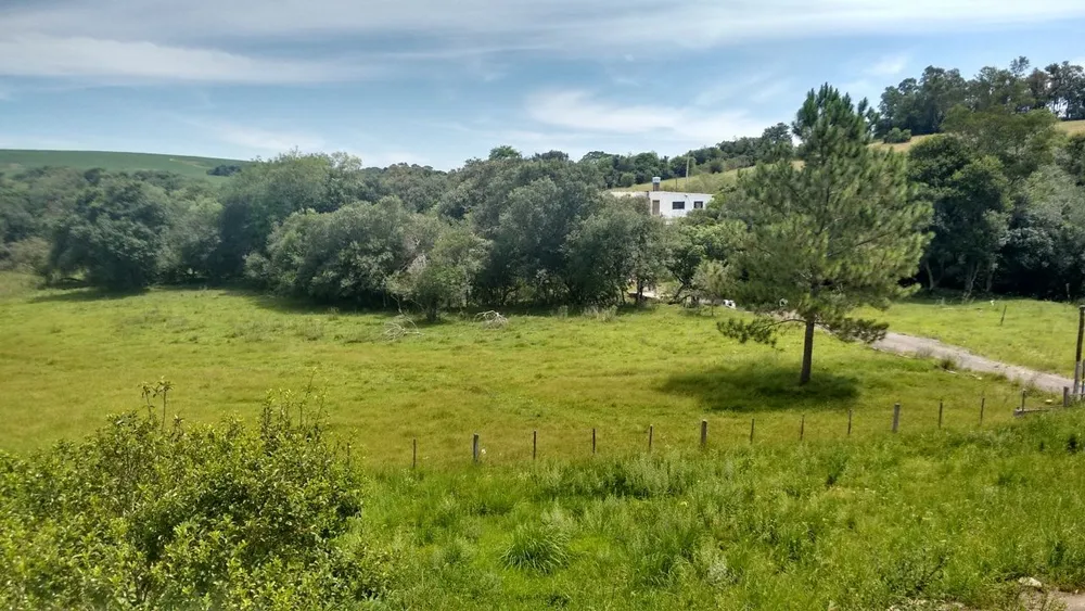 Chácara, 4 quartos, 3 hectares - Foto 12