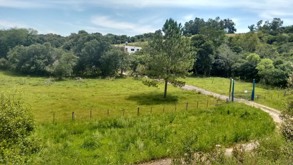 Chácara, 4 quartos, 3 hectares - Foto 10