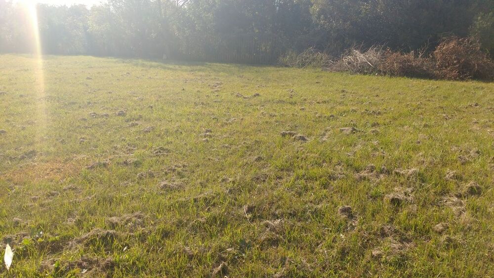 Terreno, 372 m² - Foto 2