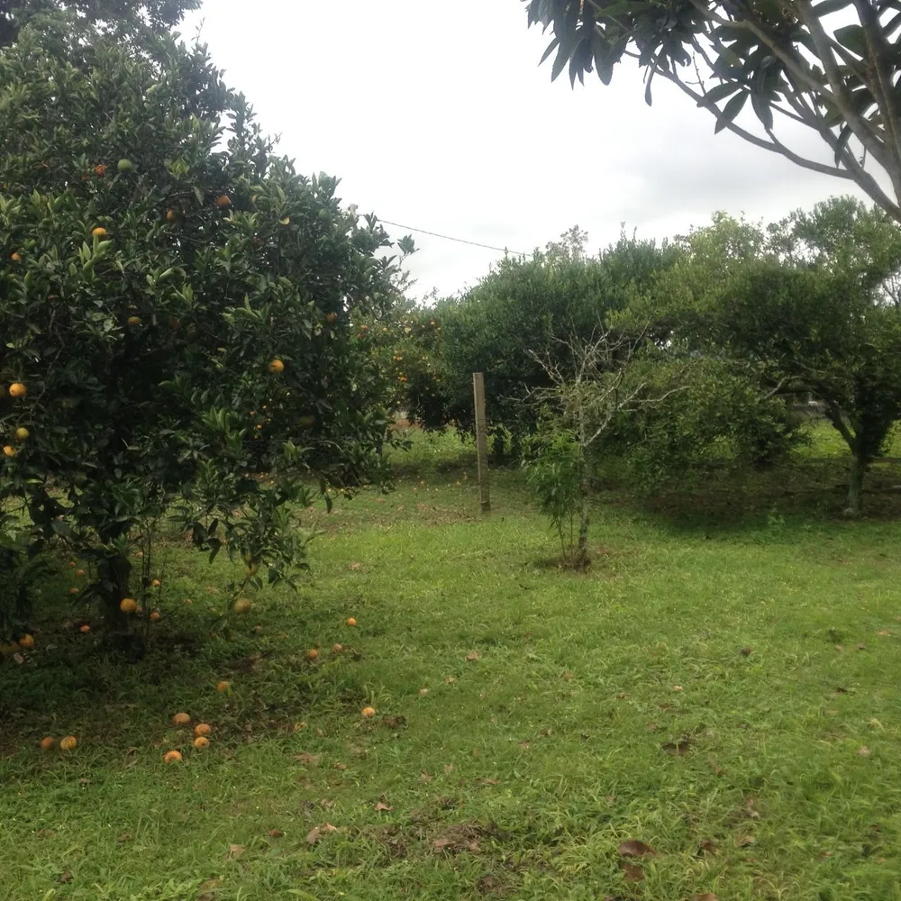 Chácara, 3 quartos, 1 hectares - Foto 11