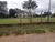 Chácara, 3 quartos, 1 hectares - Foto 4
