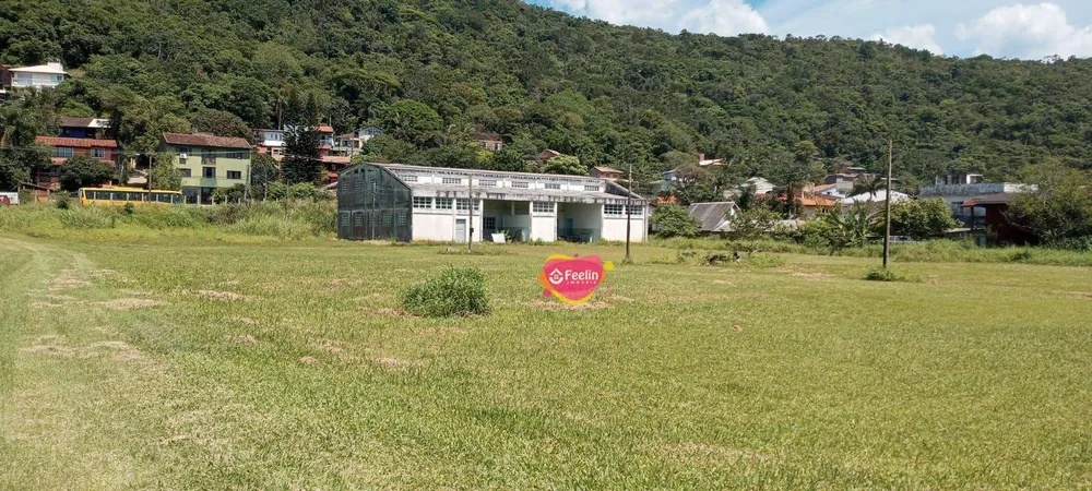 Terreno, 229 hectares - Foto 1