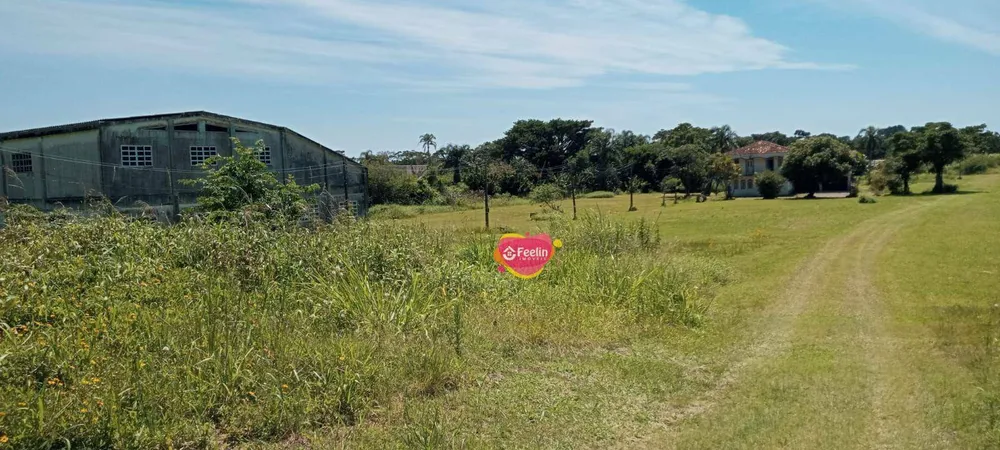 Terreno, 229 hectares - Foto 4