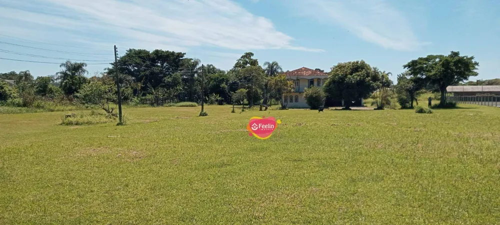 Terreno, 229 hectares - Foto 2
