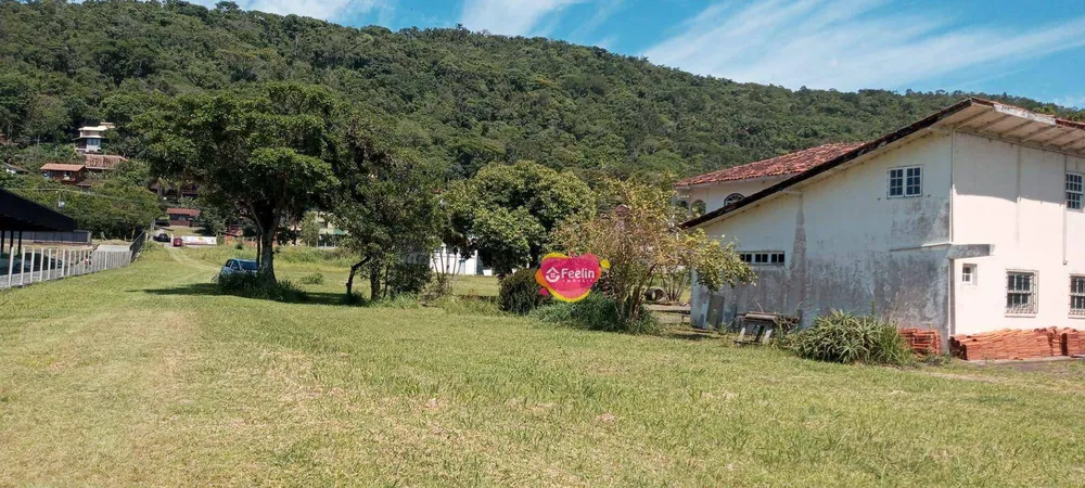 Terreno, 229 hectares - Foto 3