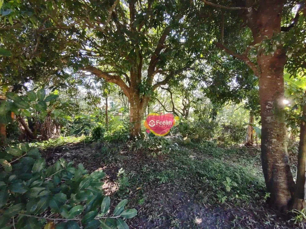 Terreno, 799 m² - Foto 3