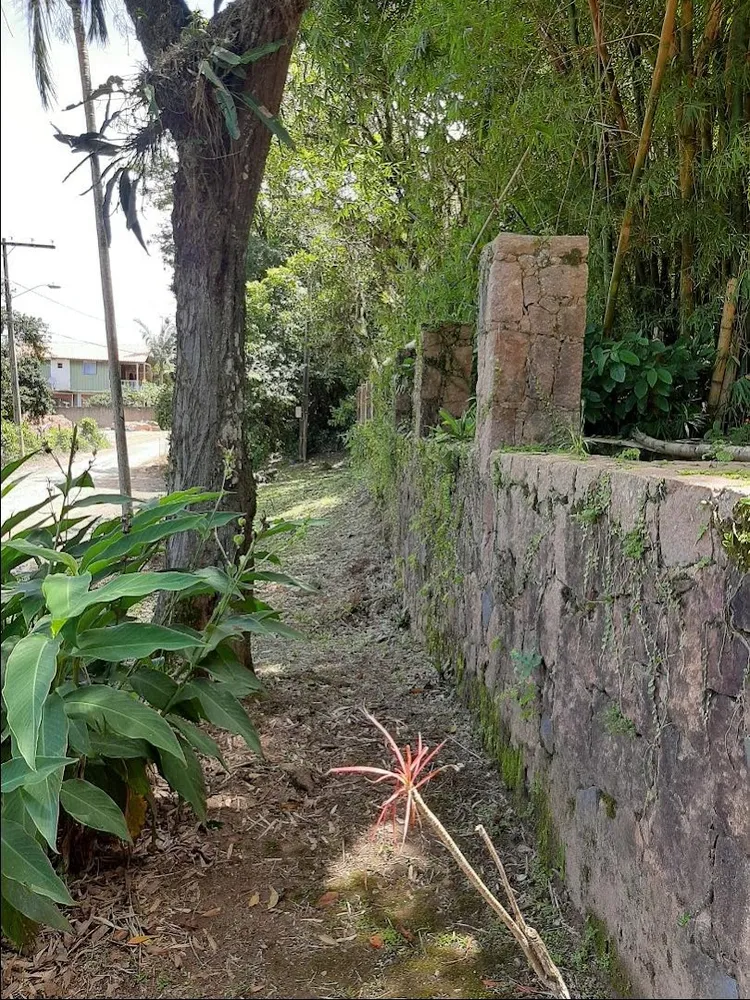 Terreno, 2 hectares - Foto 2