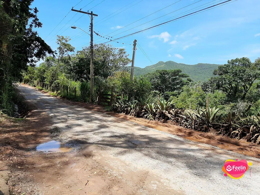 Terreno, 2 hectares - Foto 3