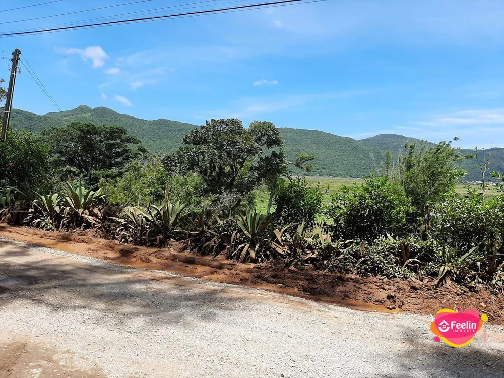 Terreno, 2 hectares - Foto 4
