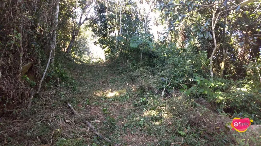 Terreno, 1 hectares - Foto 2