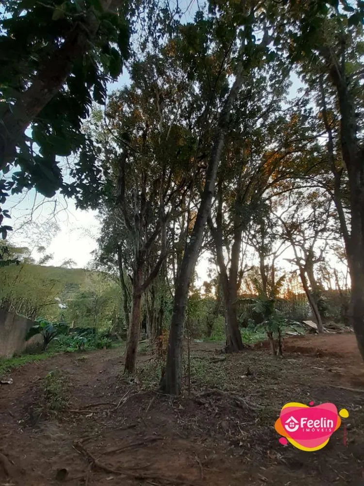 Terreno, 1680 m² - Foto 3