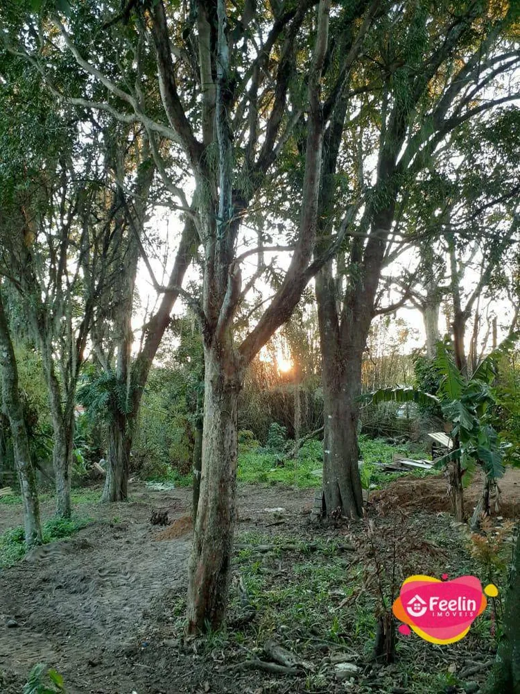Terreno, 1680 m² - Foto 4