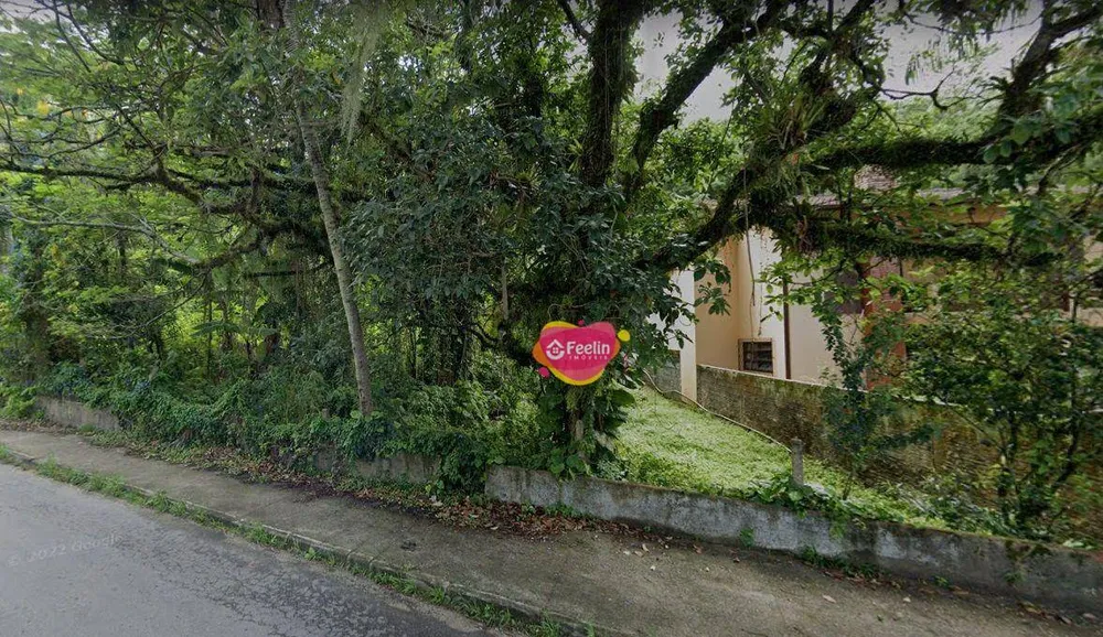 Terreno, 3 hectares - Foto 3