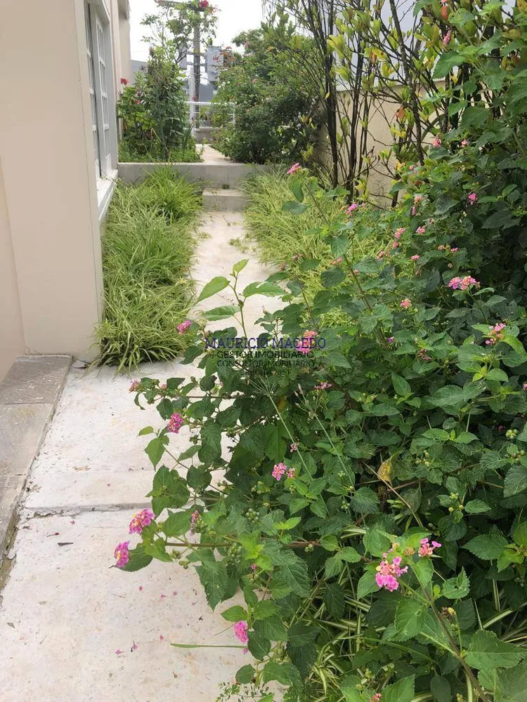 Casa, 4 quartos, 500 m² - Foto 2