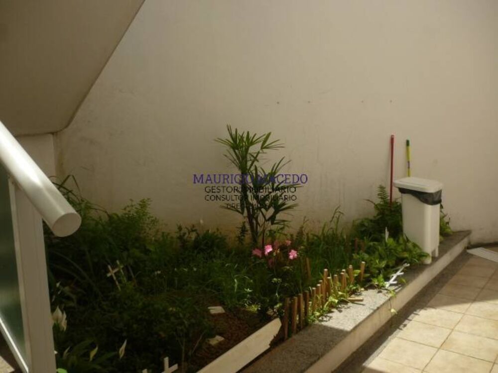 Casa, 5 quartos, 1000 m² - Foto 3