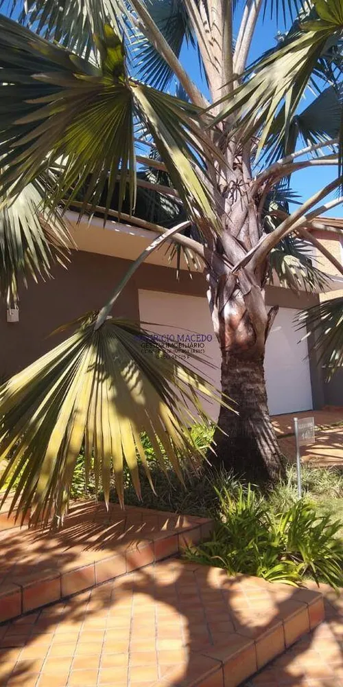 Casa, 2 quartos, 260 m² - Foto 12