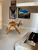 Casa, 4 quartos, 490 m² - Foto 6