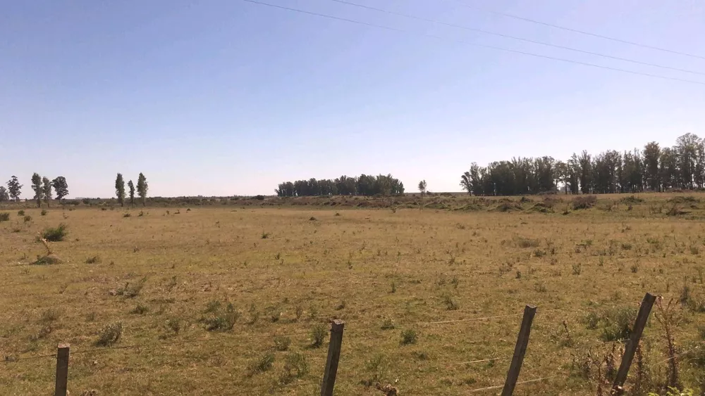 Fazenda à venda com 3 quartos, 1100 - Foto 1