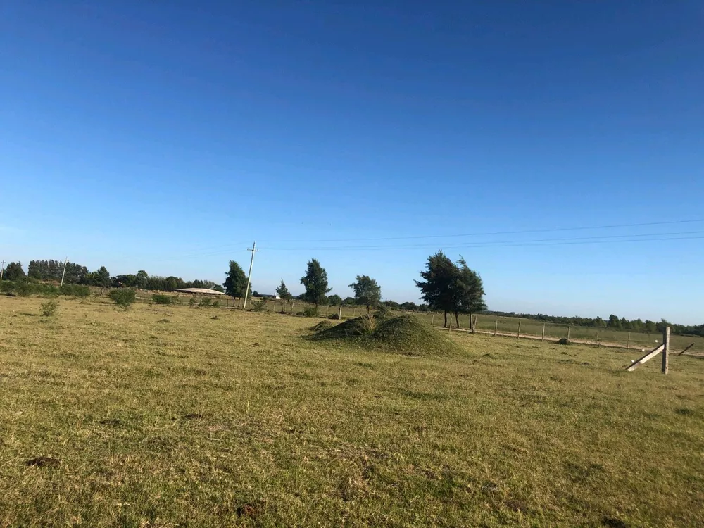 Fazenda à venda com 3 quartos, 1100 - Foto 3