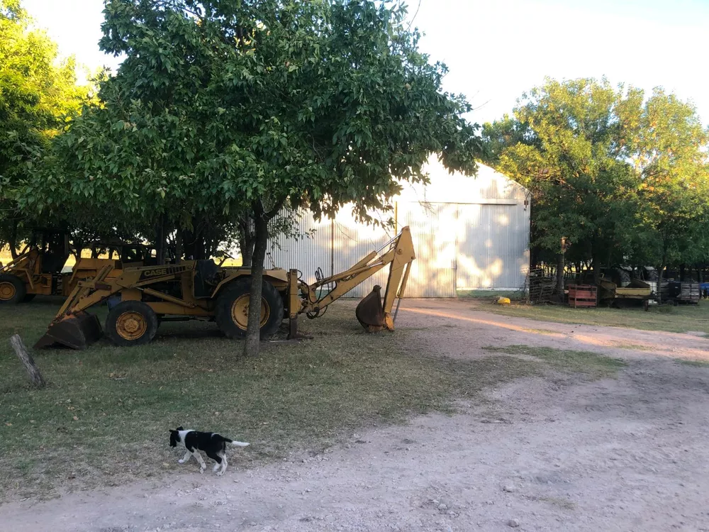 Fazenda à venda com 3 quartos, 1100 - Foto 2