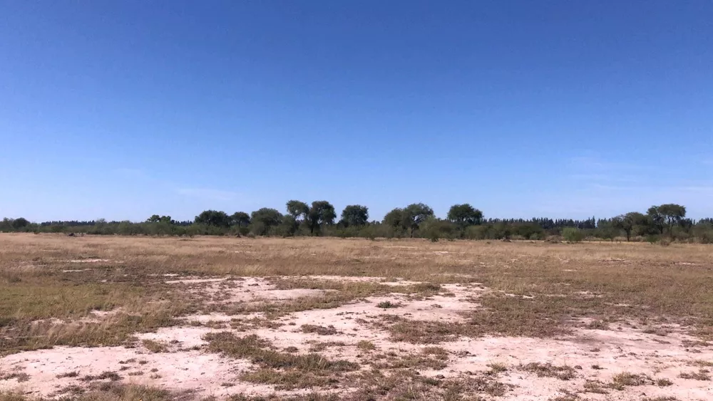 Fazenda à venda com 3 quartos, 1100 - Foto 4