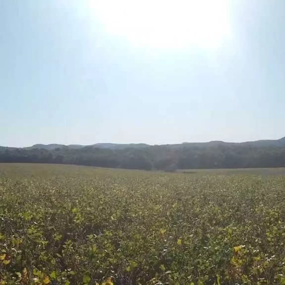 Fazenda à venda - Foto 1