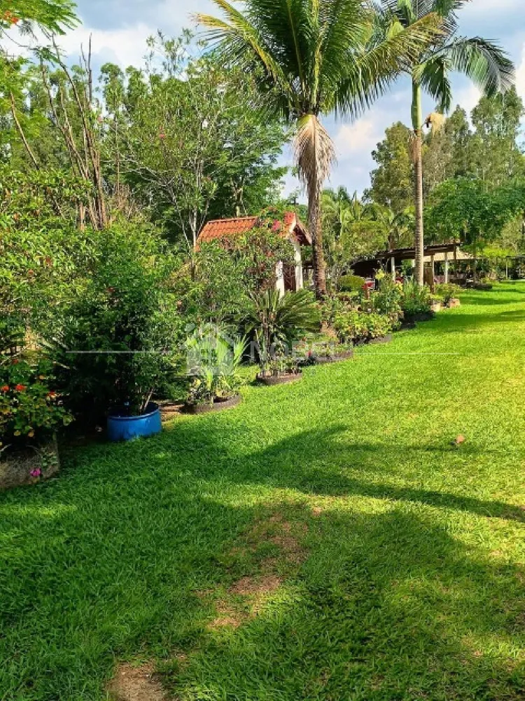 Sítio, 3 quartos, 3 hectares - Foto 3