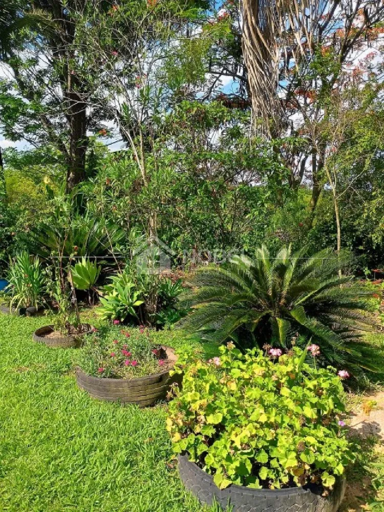 Sítio, 3 quartos, 3 hectares - Foto 4