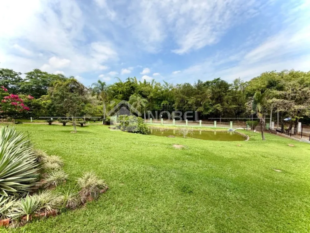 Chácara, 3 quartos, 5000 m² - Foto 6