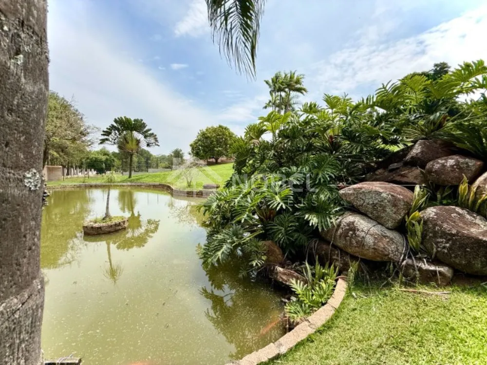 Chácara, 3 quartos, 5000 m² - Foto 9