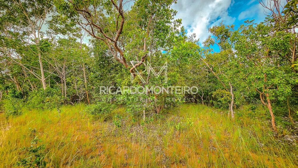 Fazenda à venda, 380000m² - Foto 5