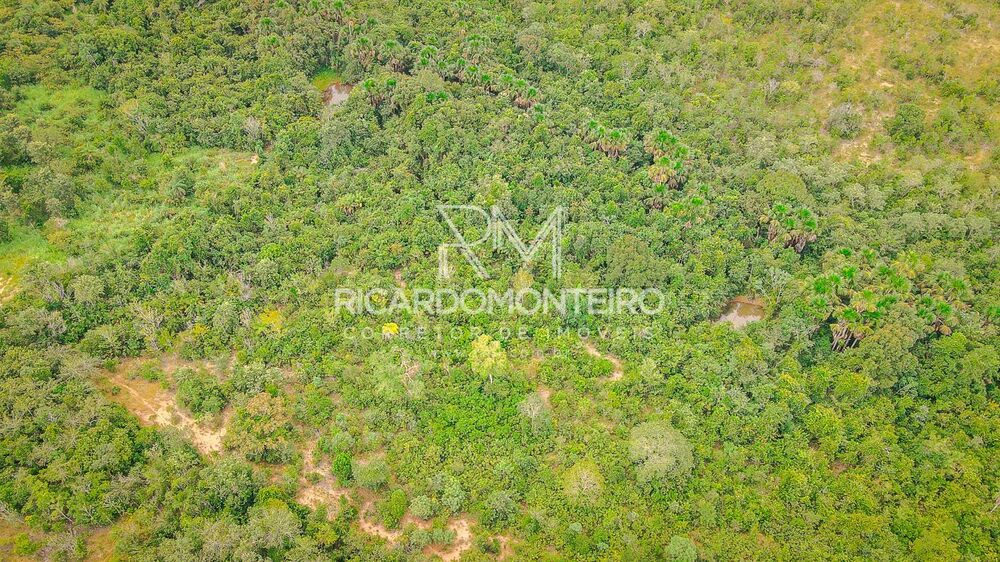 Fazenda à venda, 380000m² - Foto 14