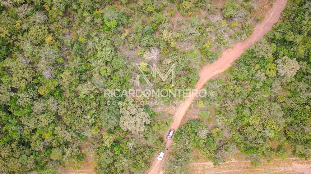 Fazenda, 38 hectares - Foto 13