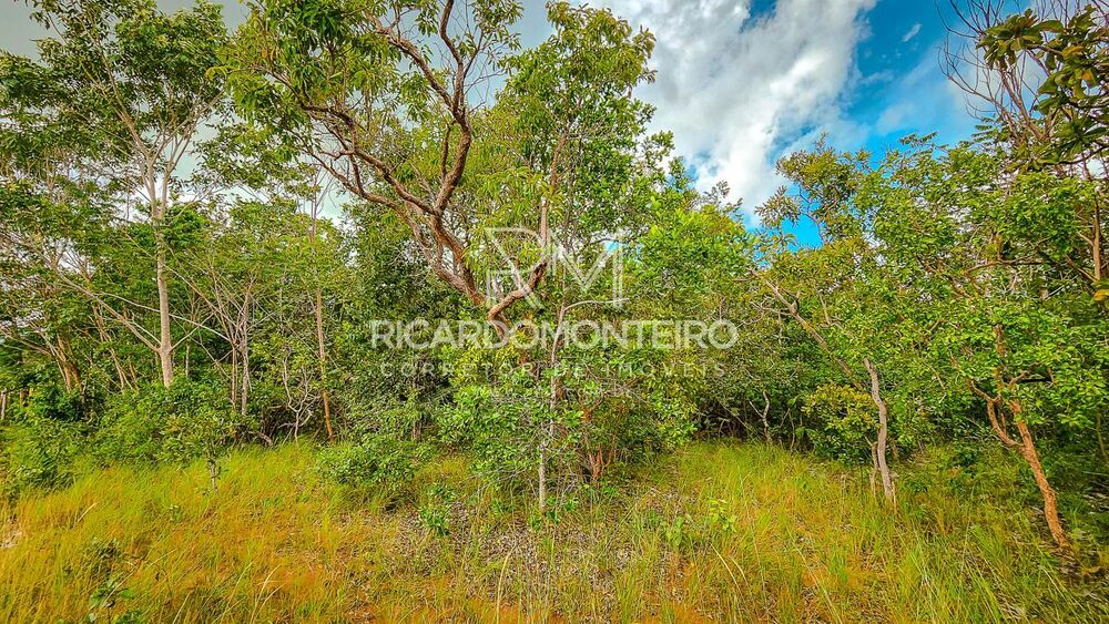 Fazenda à venda, 380000m² - Foto 6