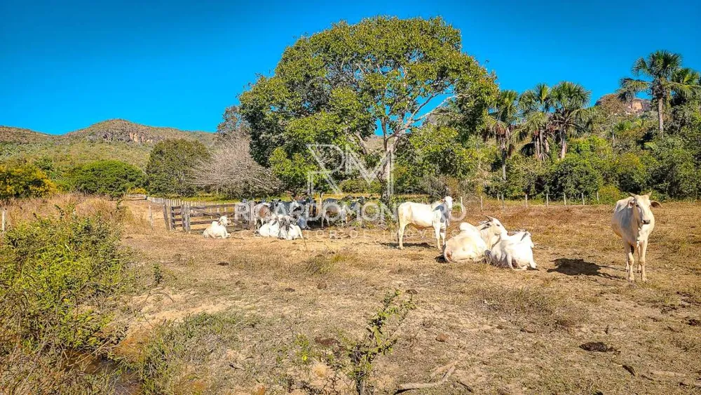 Fazenda, 440 hectares - Foto 14