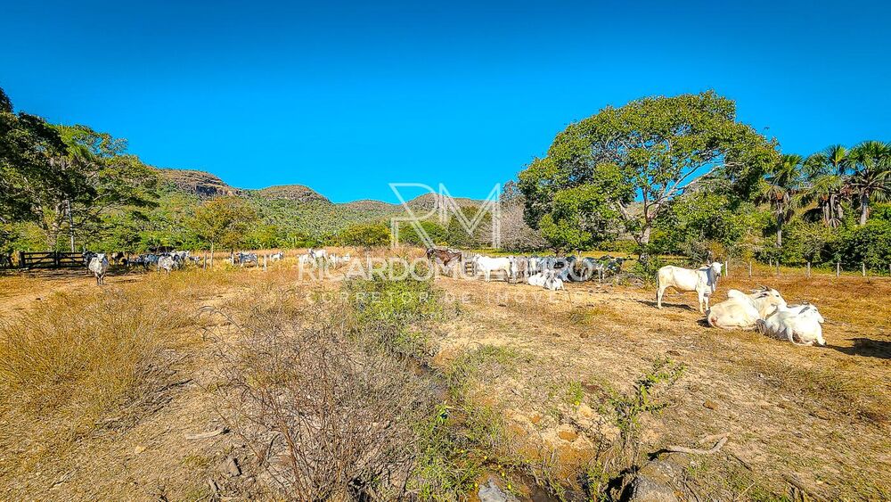 Fazenda à venda, 4400000m² - Foto 9