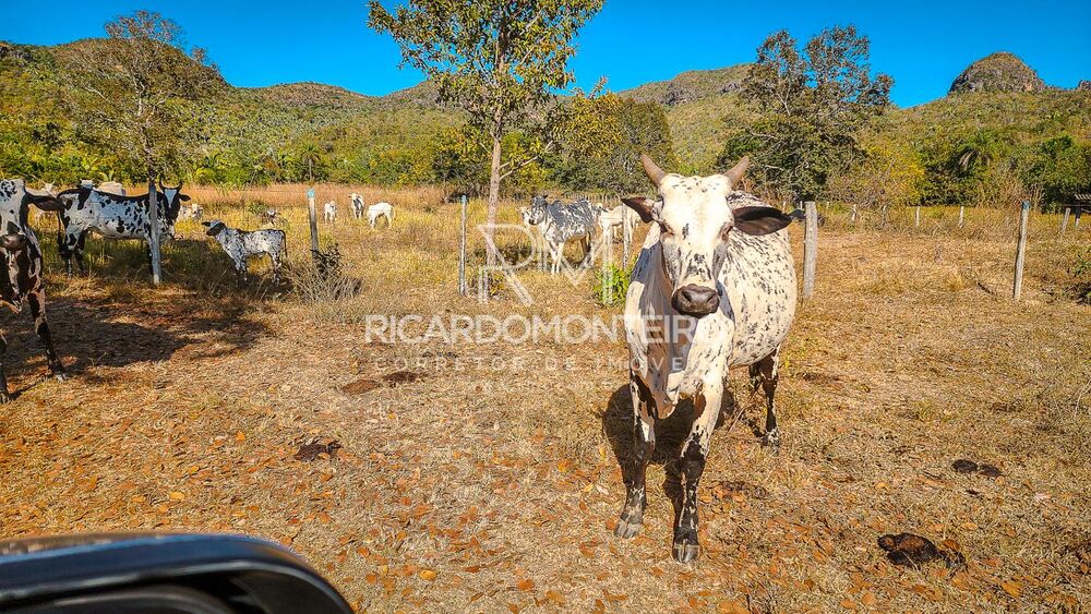 Fazenda à venda, 4400000m² - Foto 10